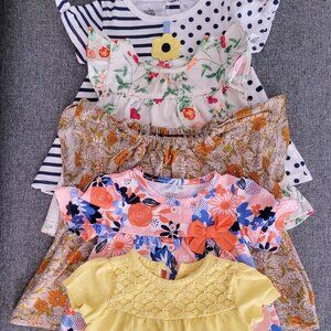 Baby Girl Shirt Bundle - 6-9 month